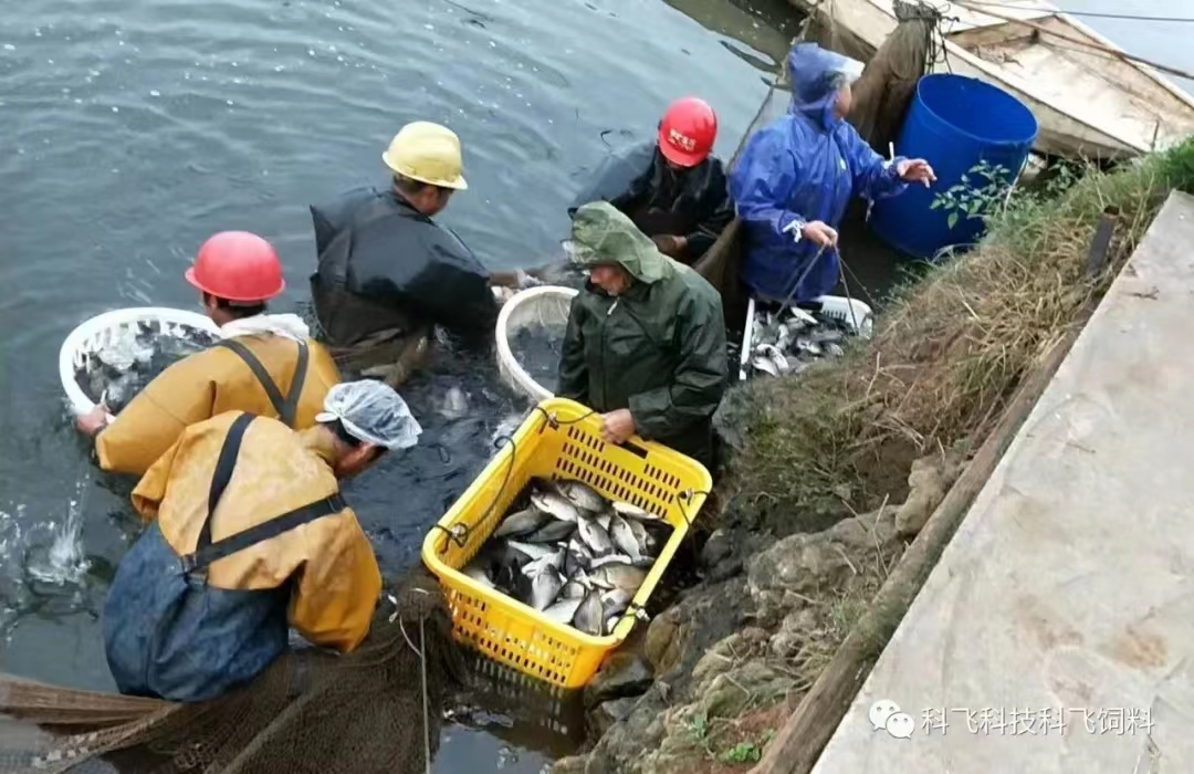運(yùn)輸用水.jpg 運(yùn)輸用水.jpg